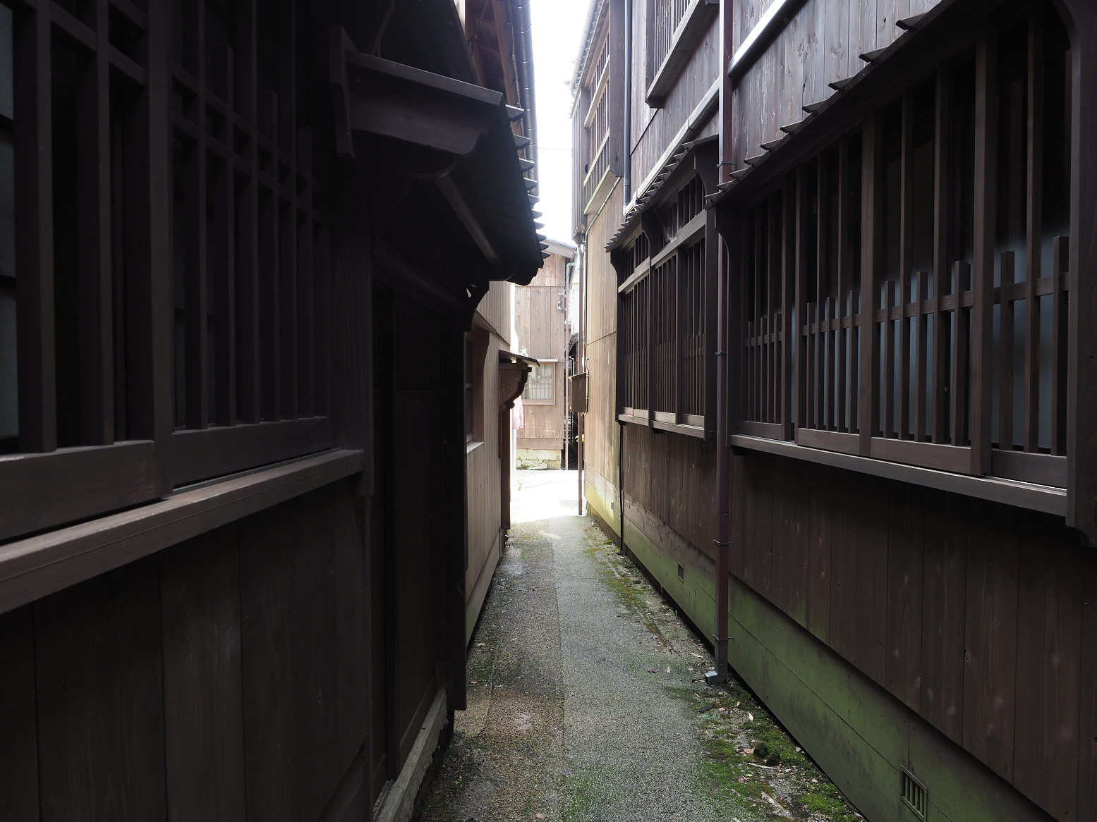 P9180937.jpg