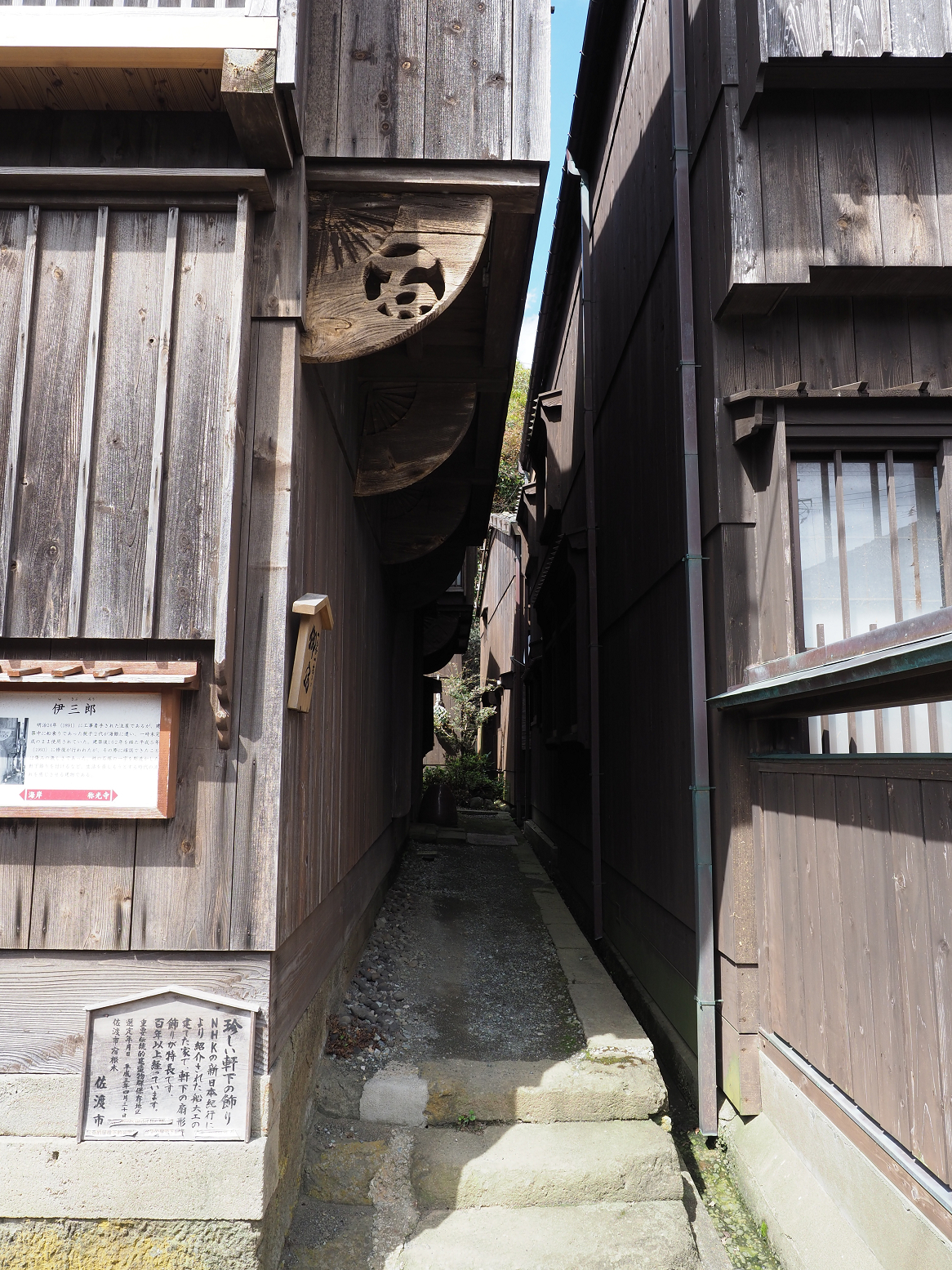 P9180941.jpg