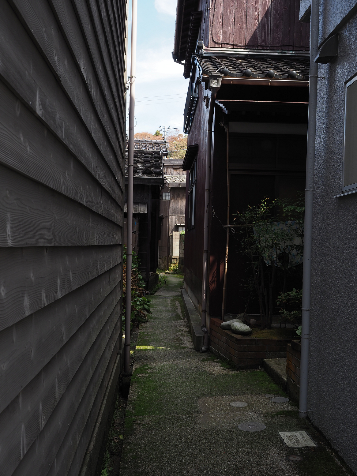 P9180948.jpg