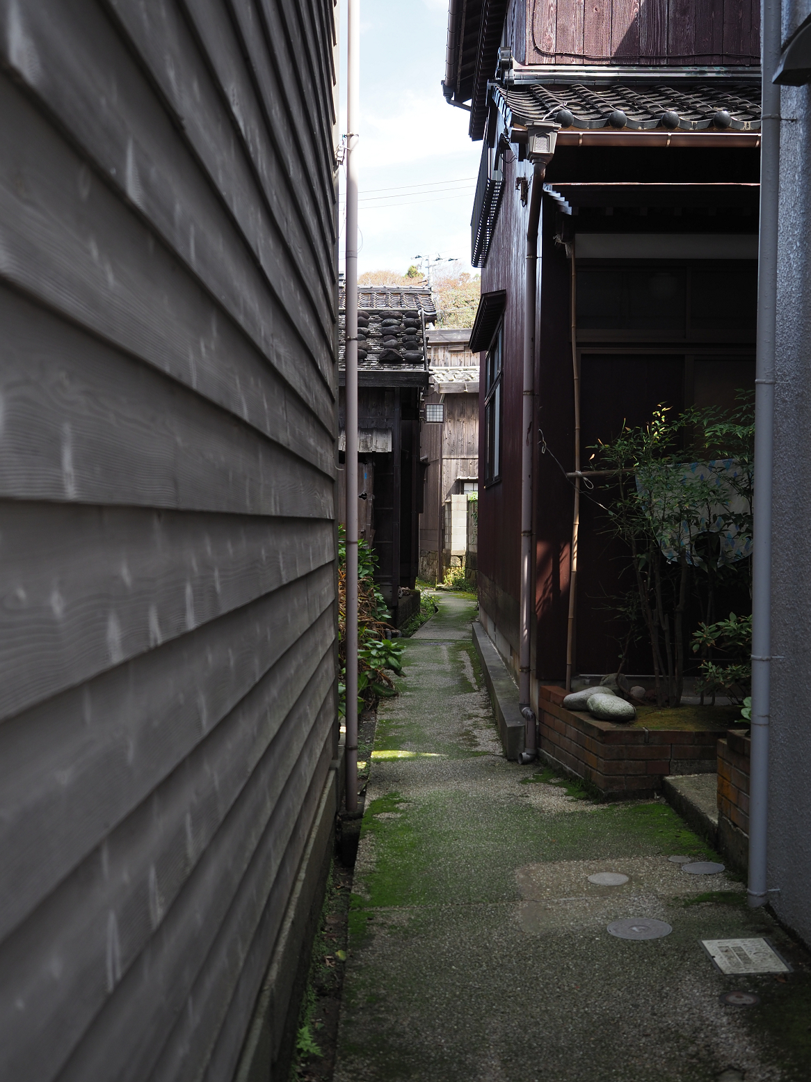 P9180952.jpg