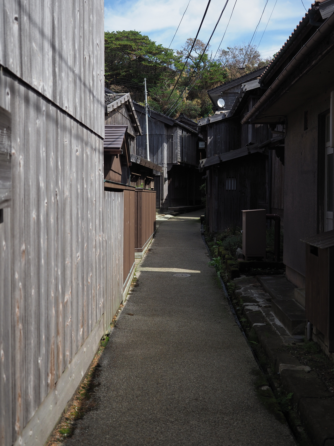 P9180953.jpg