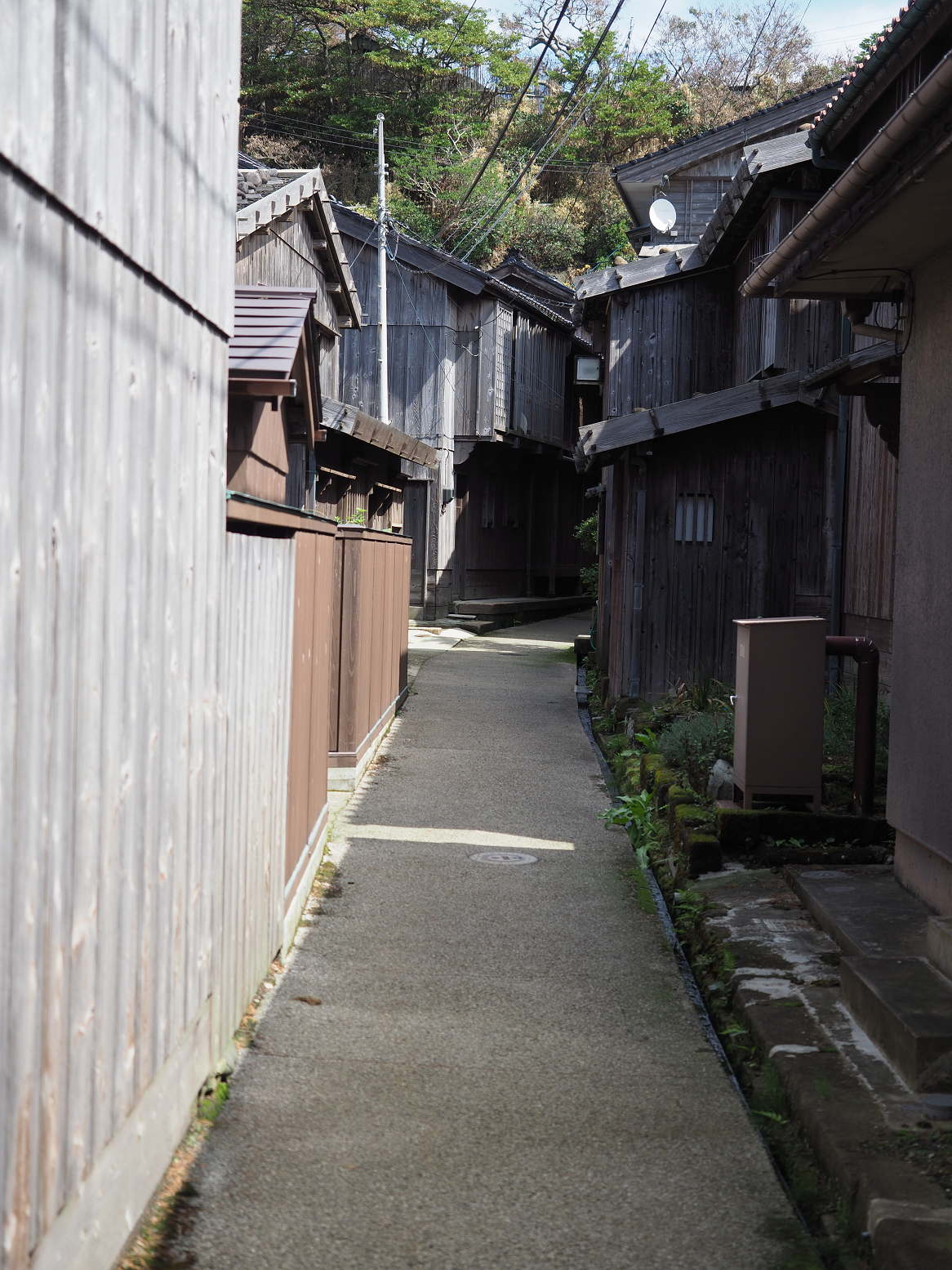 P9180954.jpg