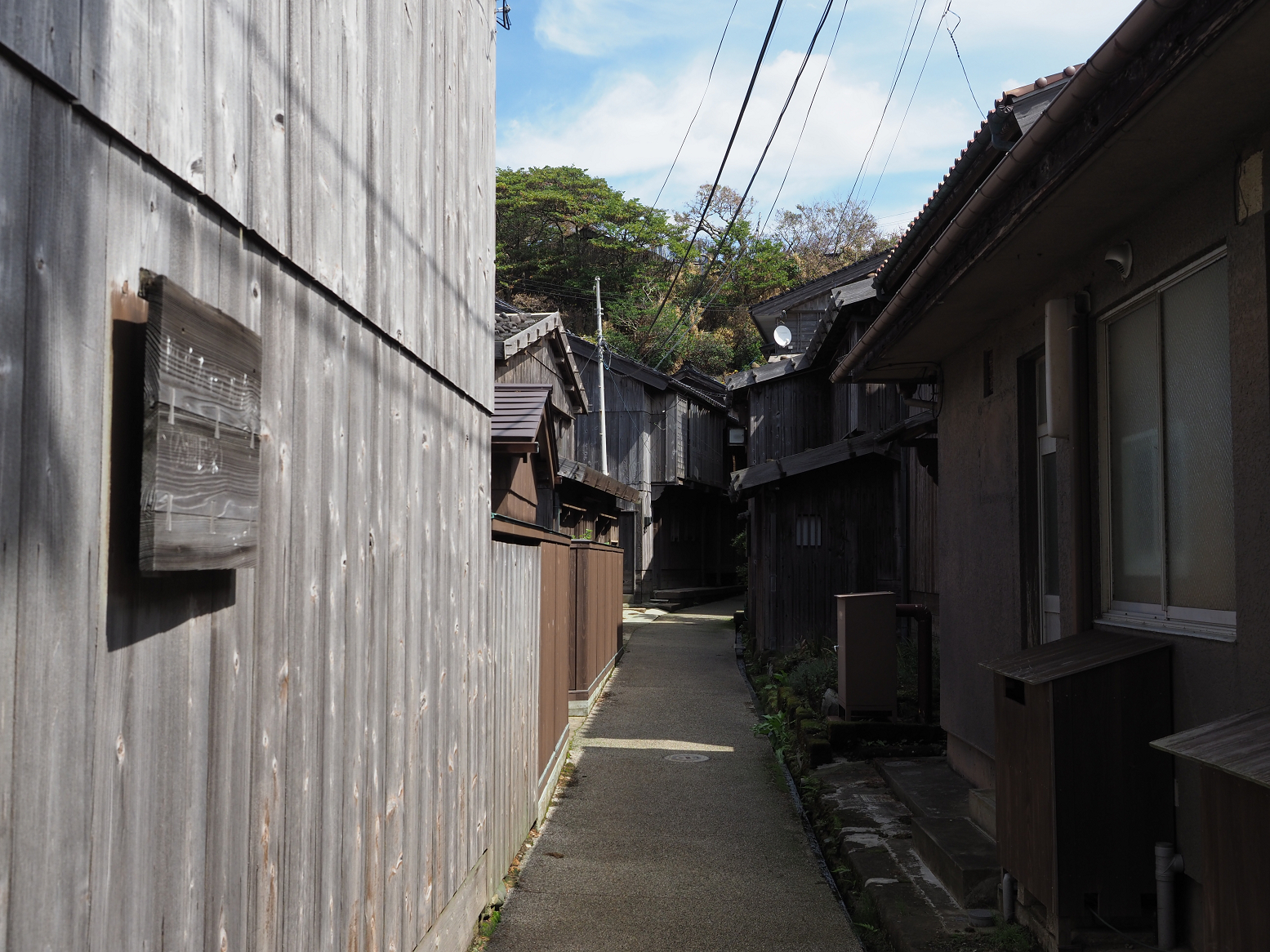 P9180956.jpg