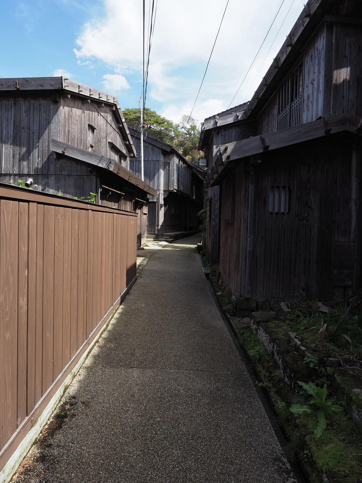 P9180957.jpg