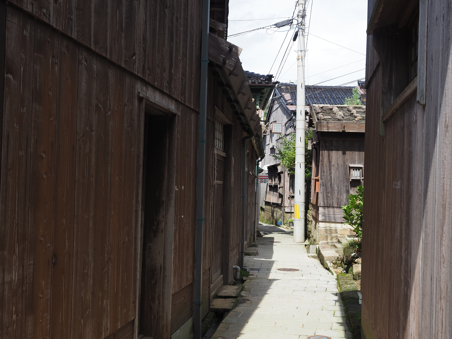P9180967.jpg