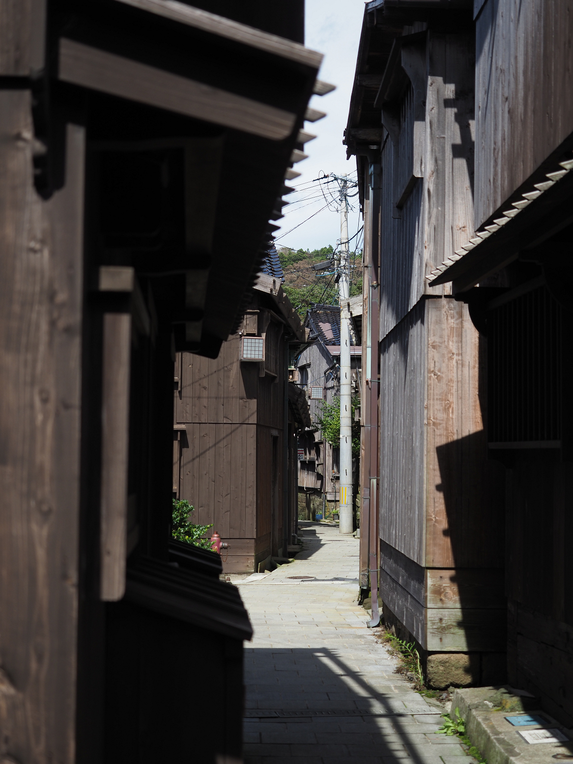 P9180971.jpg
