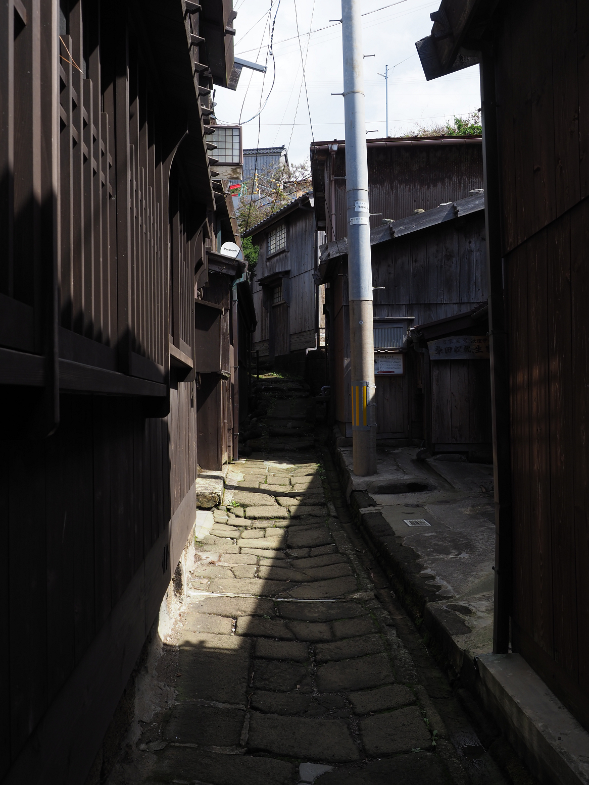 P9180974.jpg