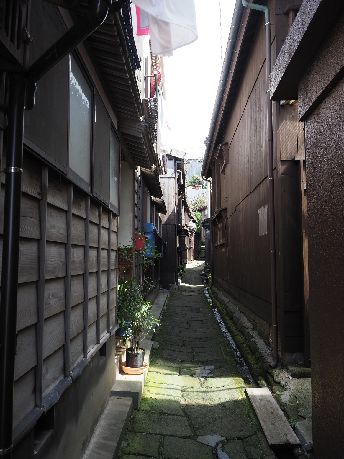 P9180977.jpg