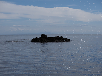 P9181117_thumb.png