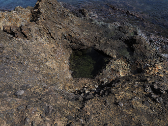 P9181142_thumb.png