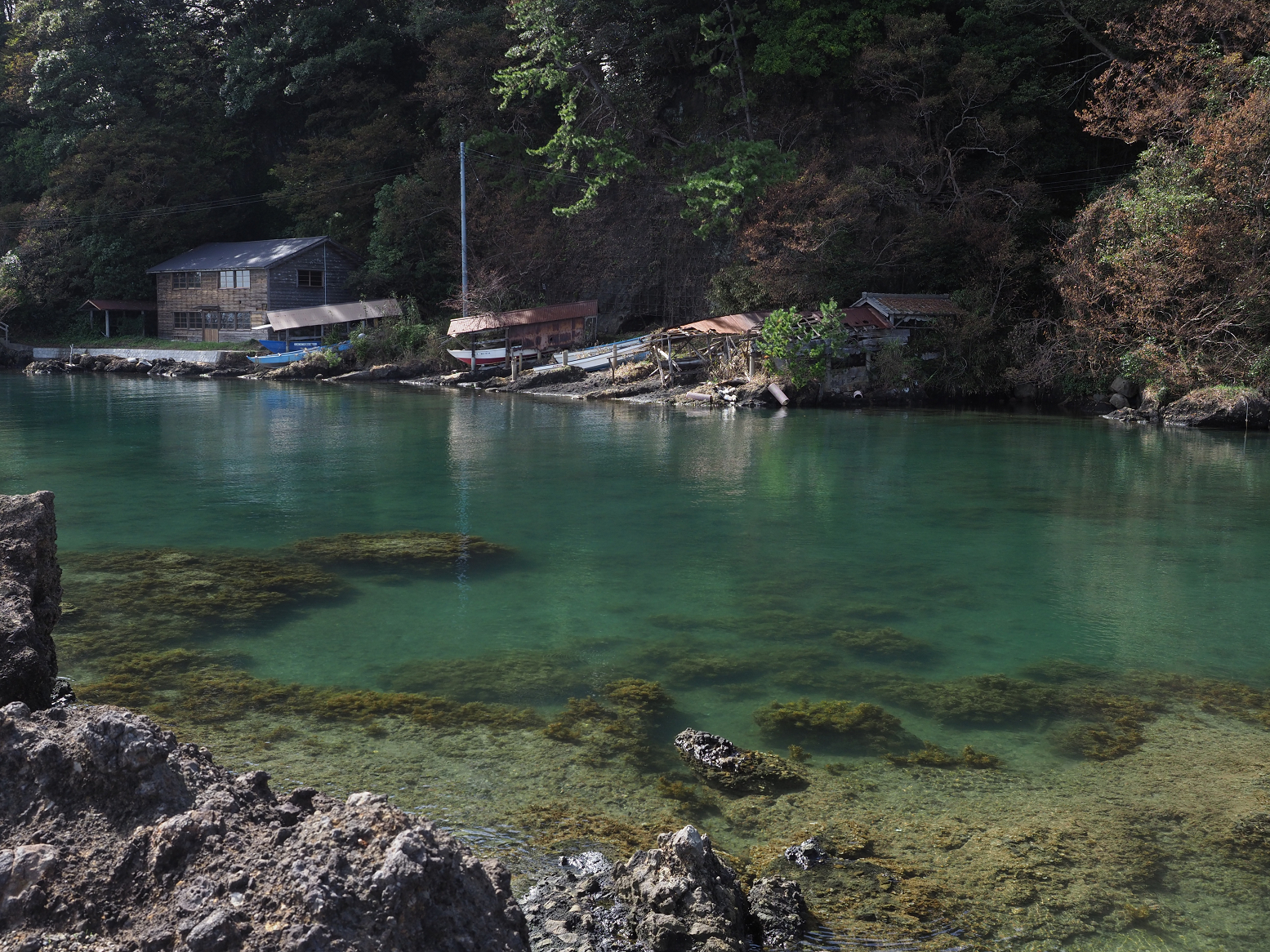P9181146.jpg