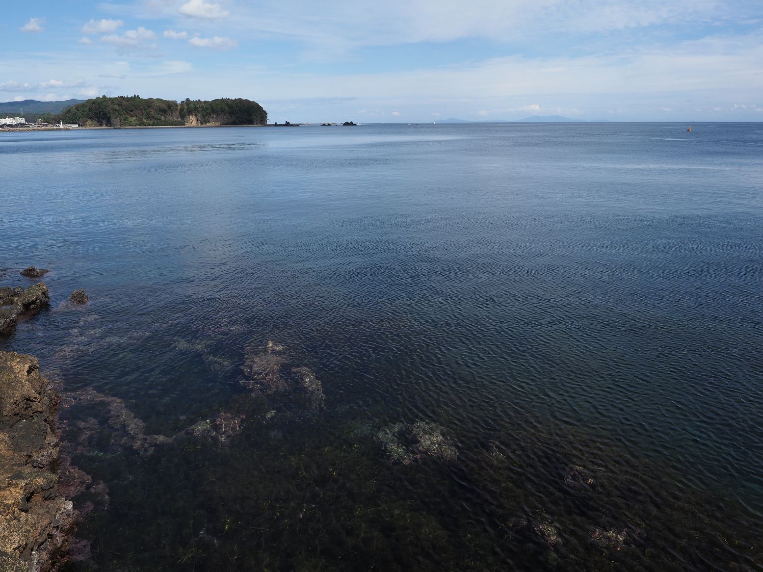 P9181150.jpg