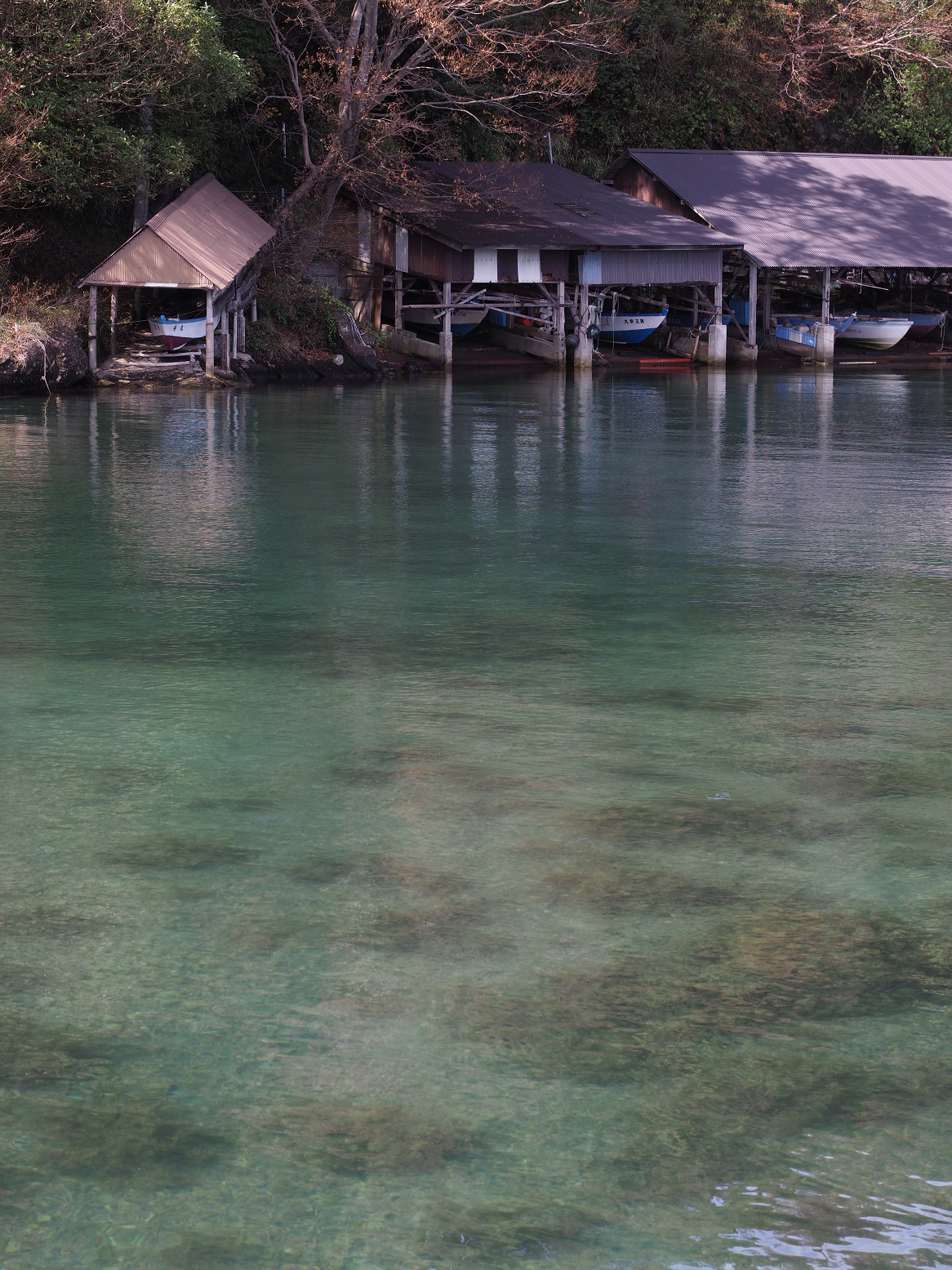 P9181160.jpg
