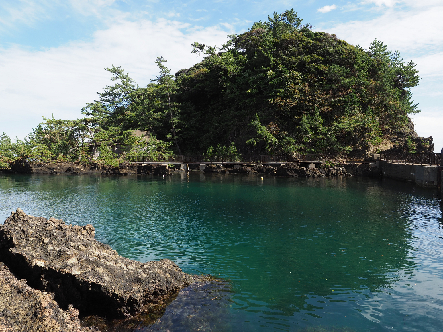 P9181191.jpg