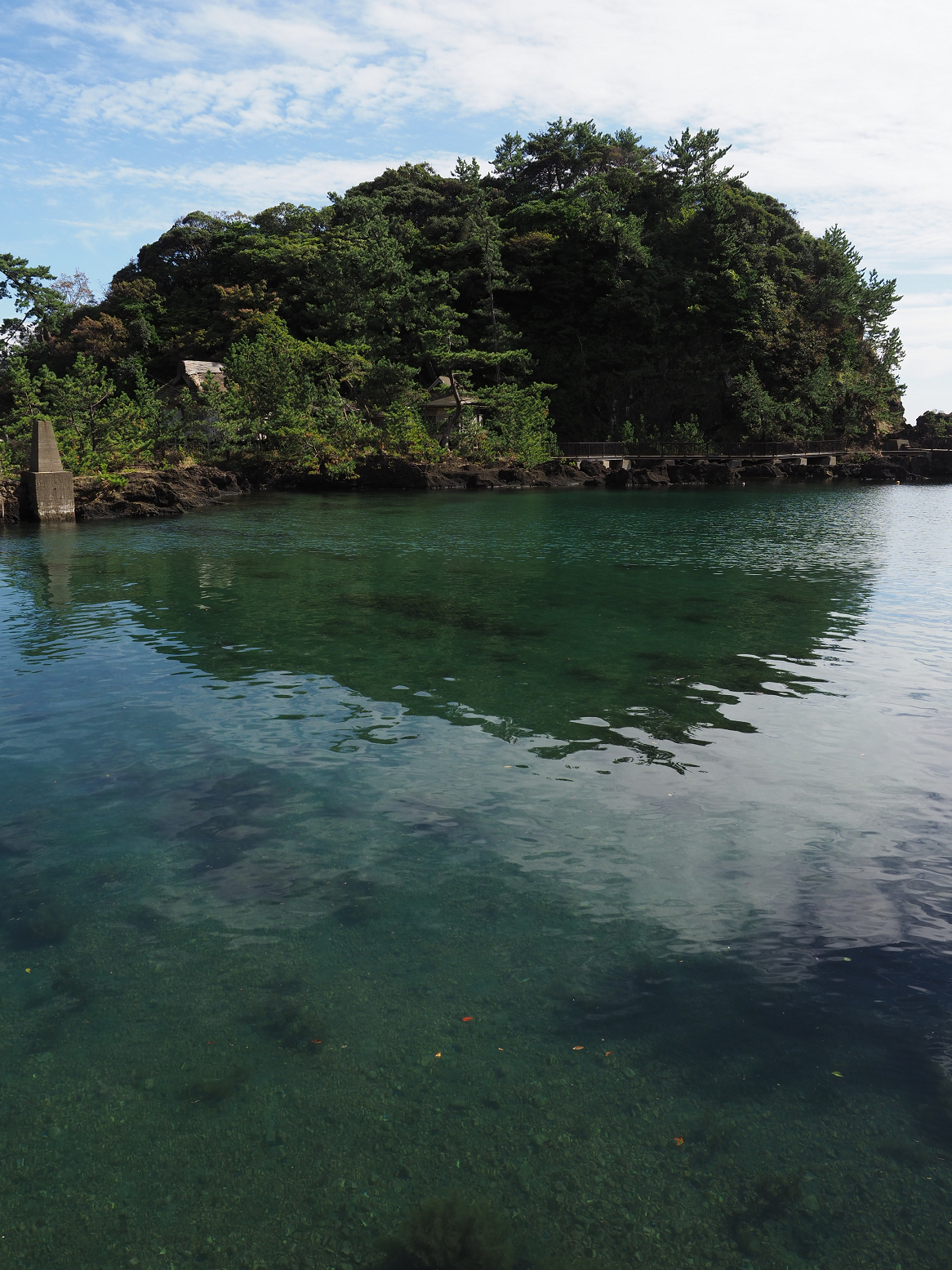 P9181203.jpg