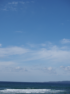 P9181242_thumb.png