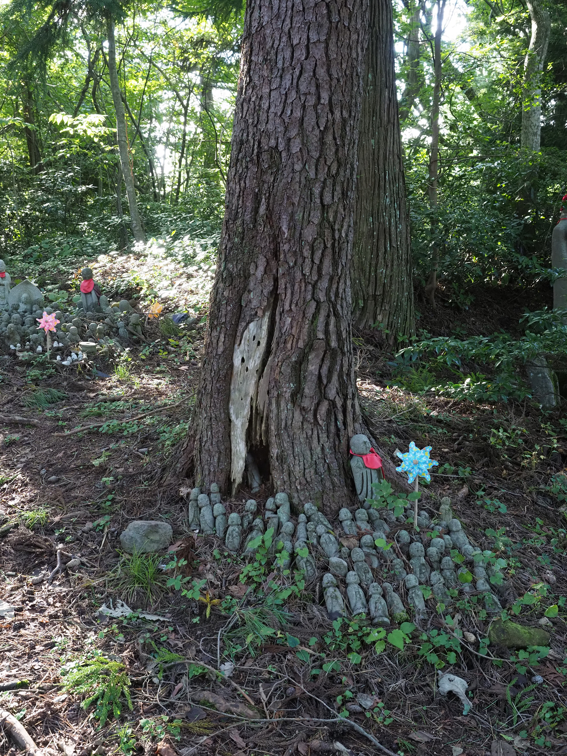 P9181257.jpg