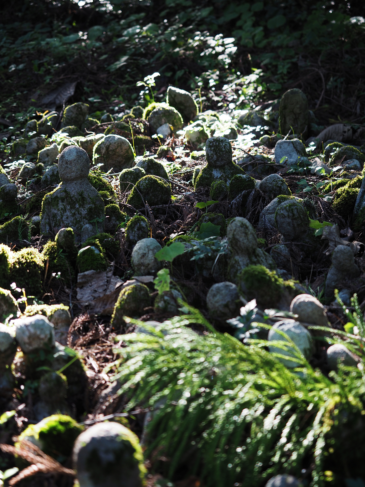 P9181283.jpg