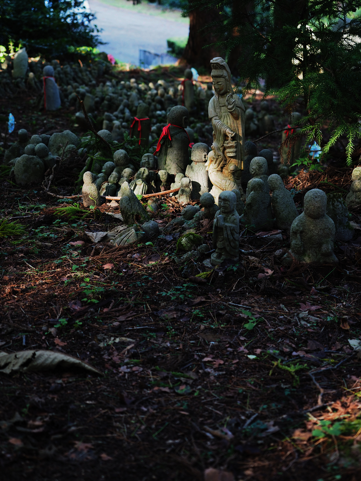 P9181285.jpg