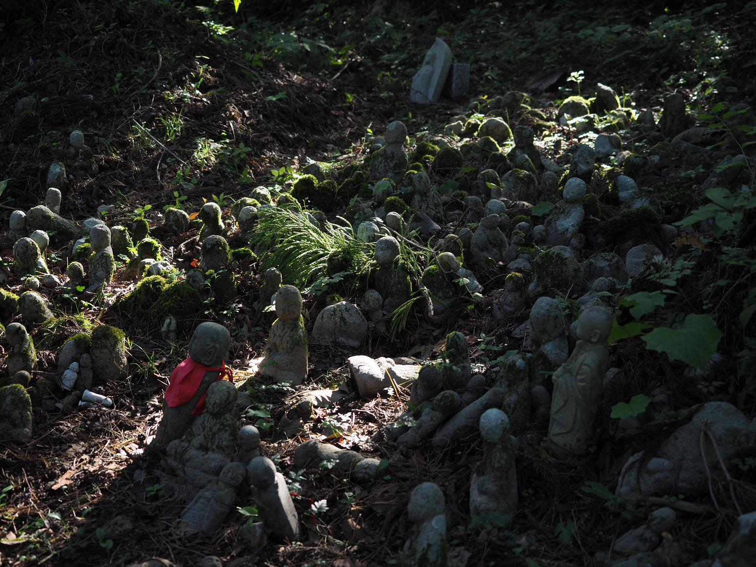 P9181290.jpg