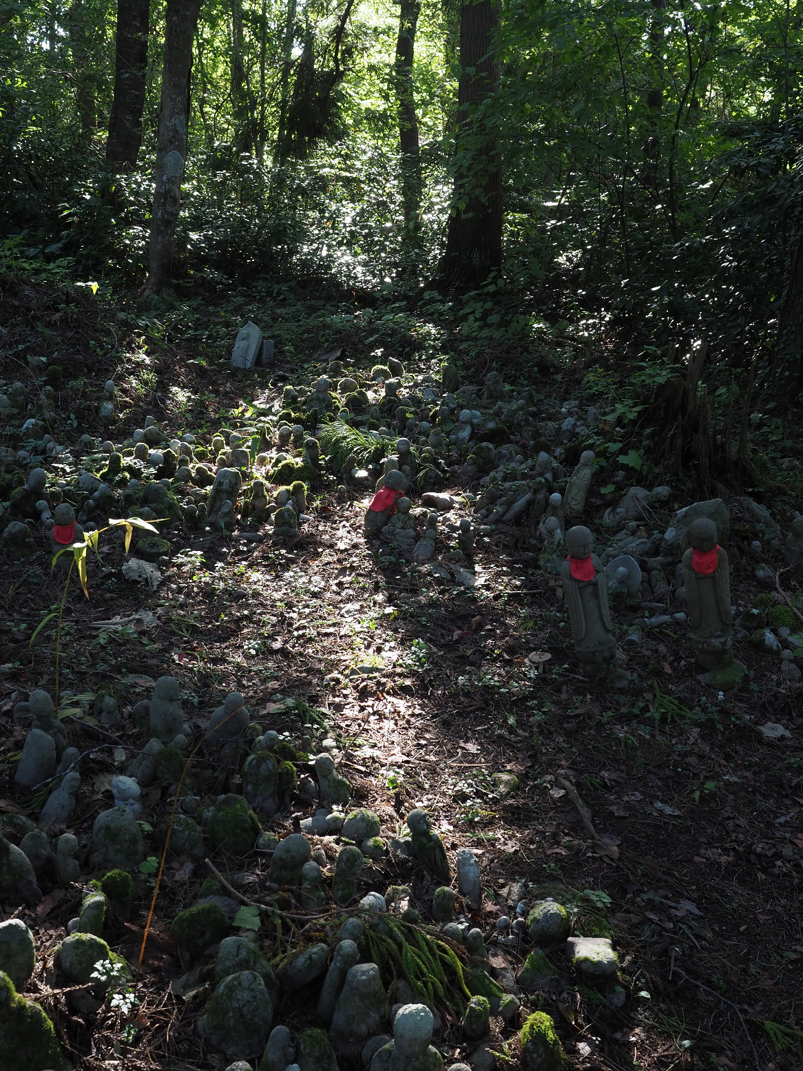 P9181293.jpg
