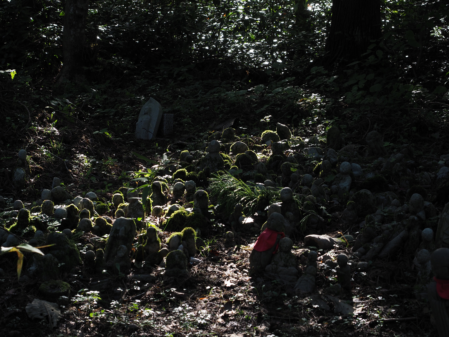 P9181295.jpg