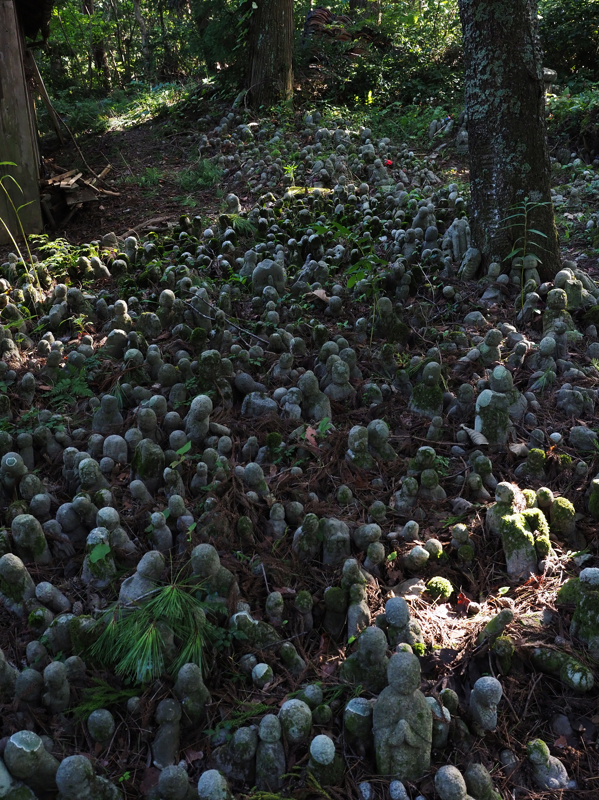 P9181297.jpg