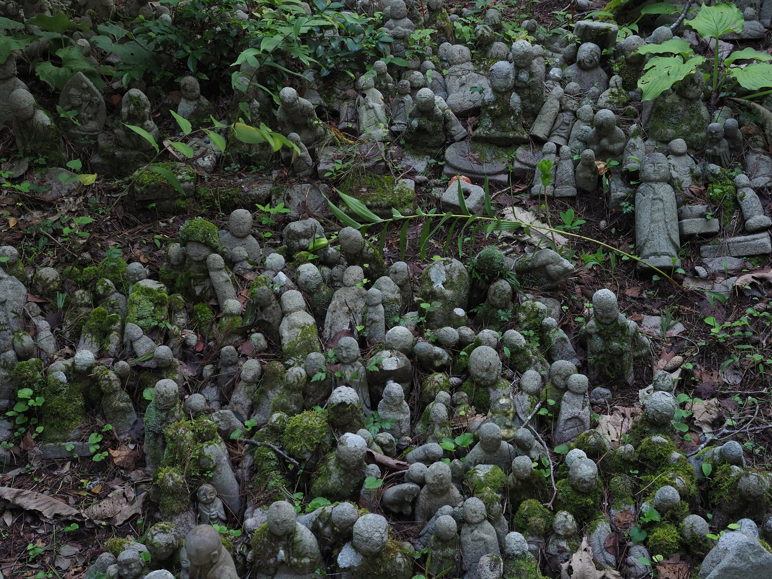 P9181301.jpg