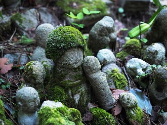 P9181303_thumb.png