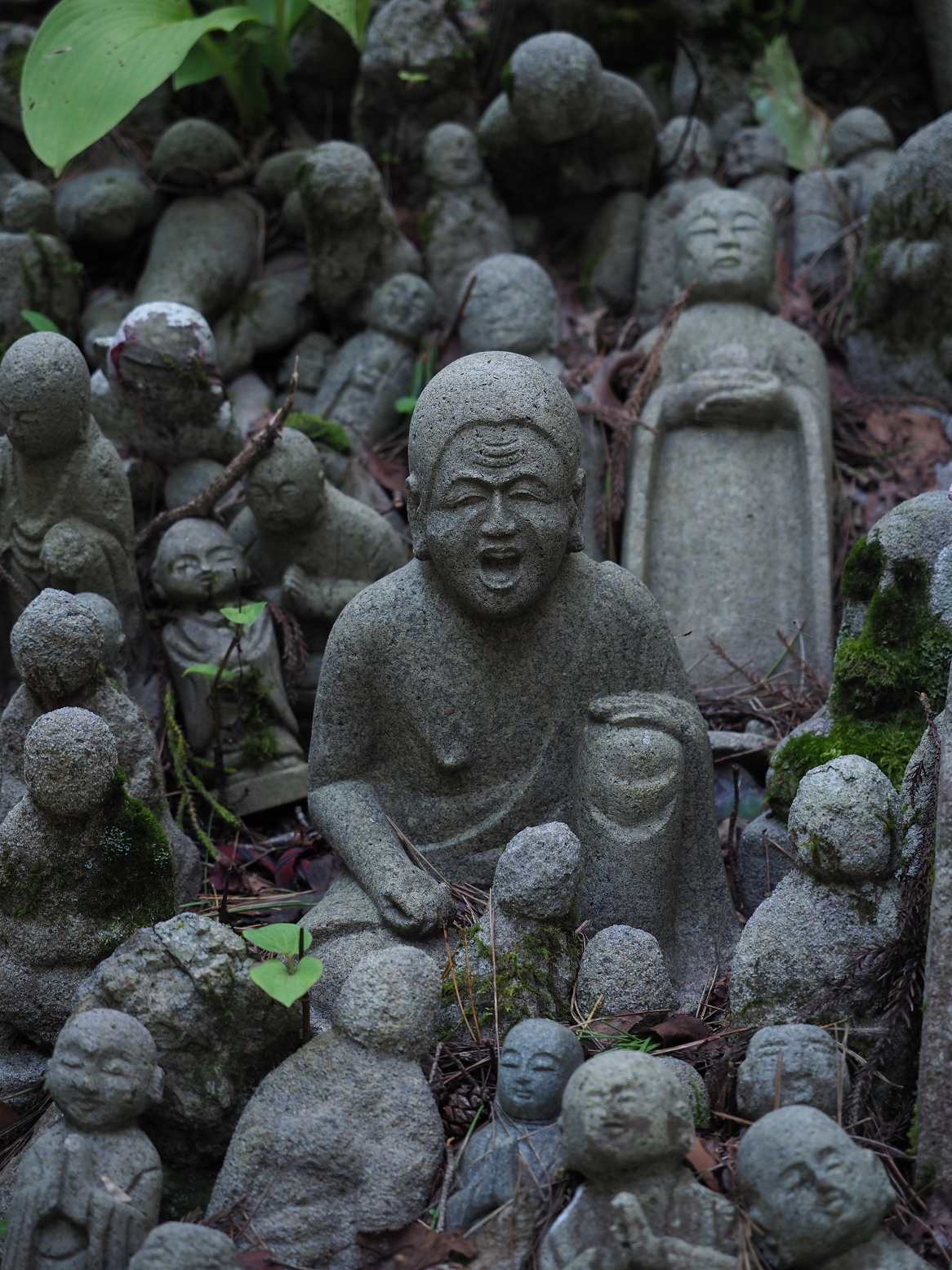 P9181306.jpg