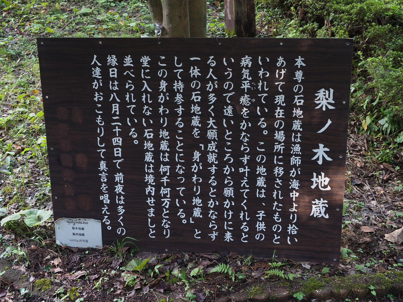 P9181314.jpg