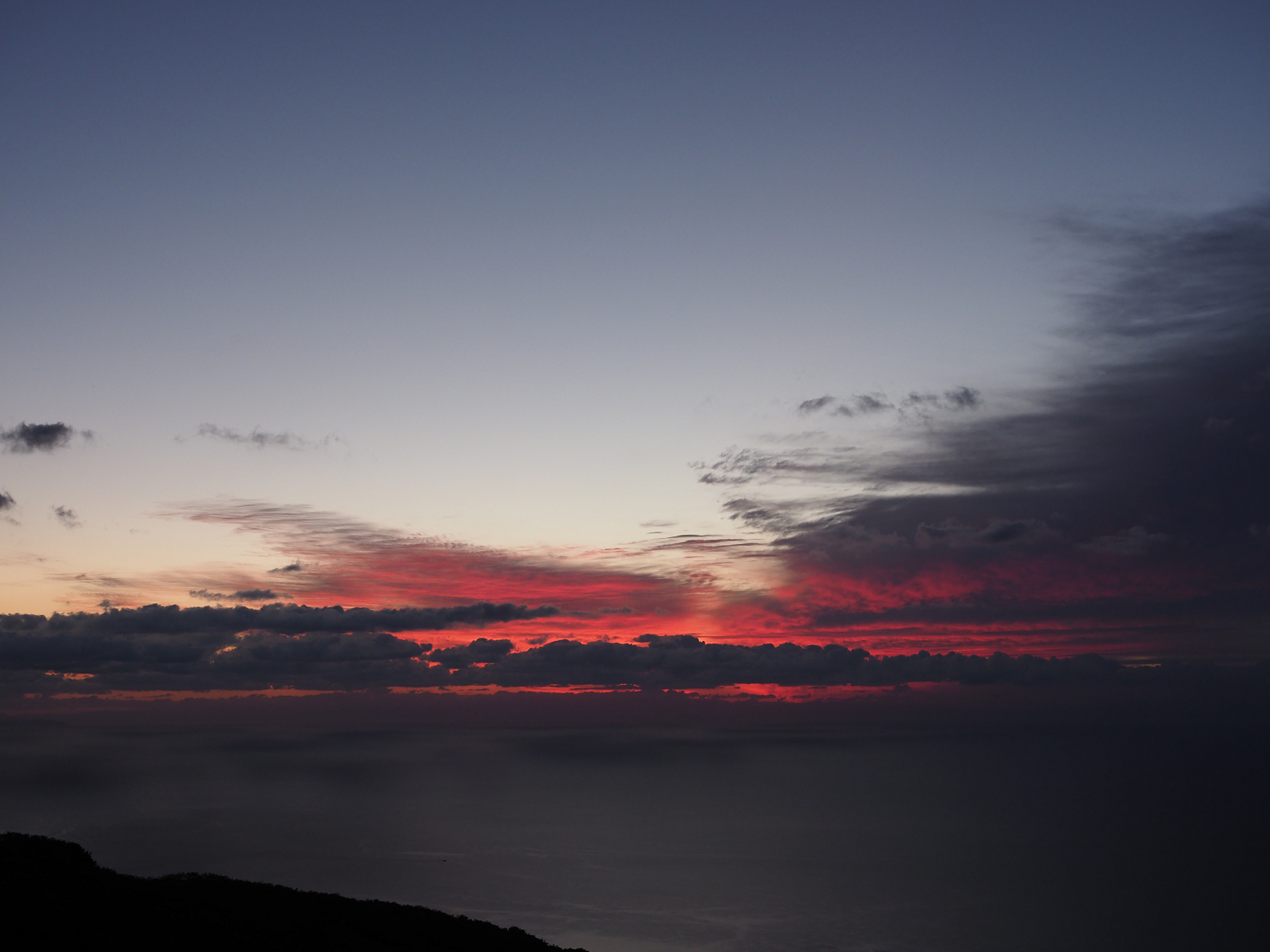 P9191382.jpg