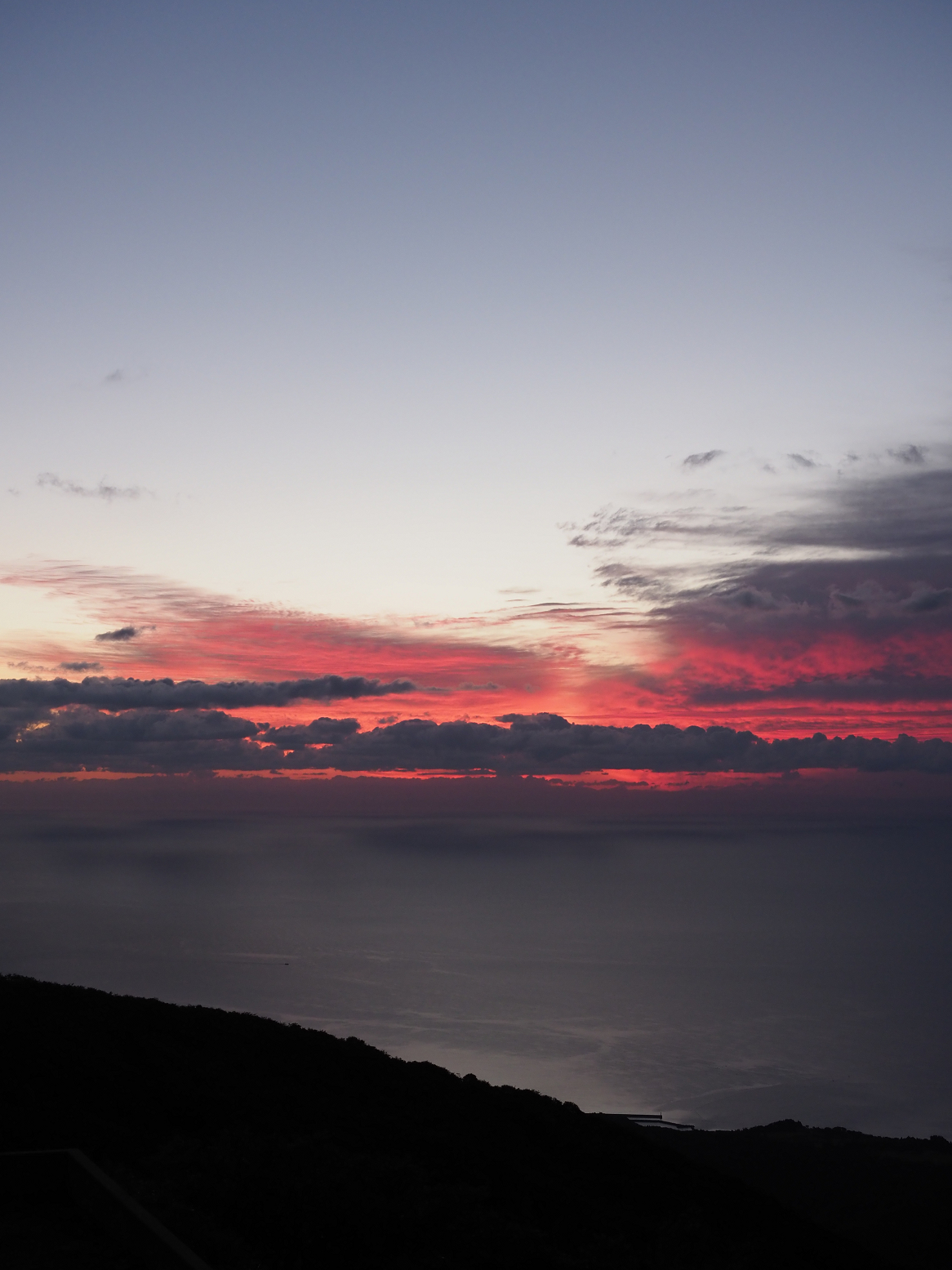 P9191383.jpg