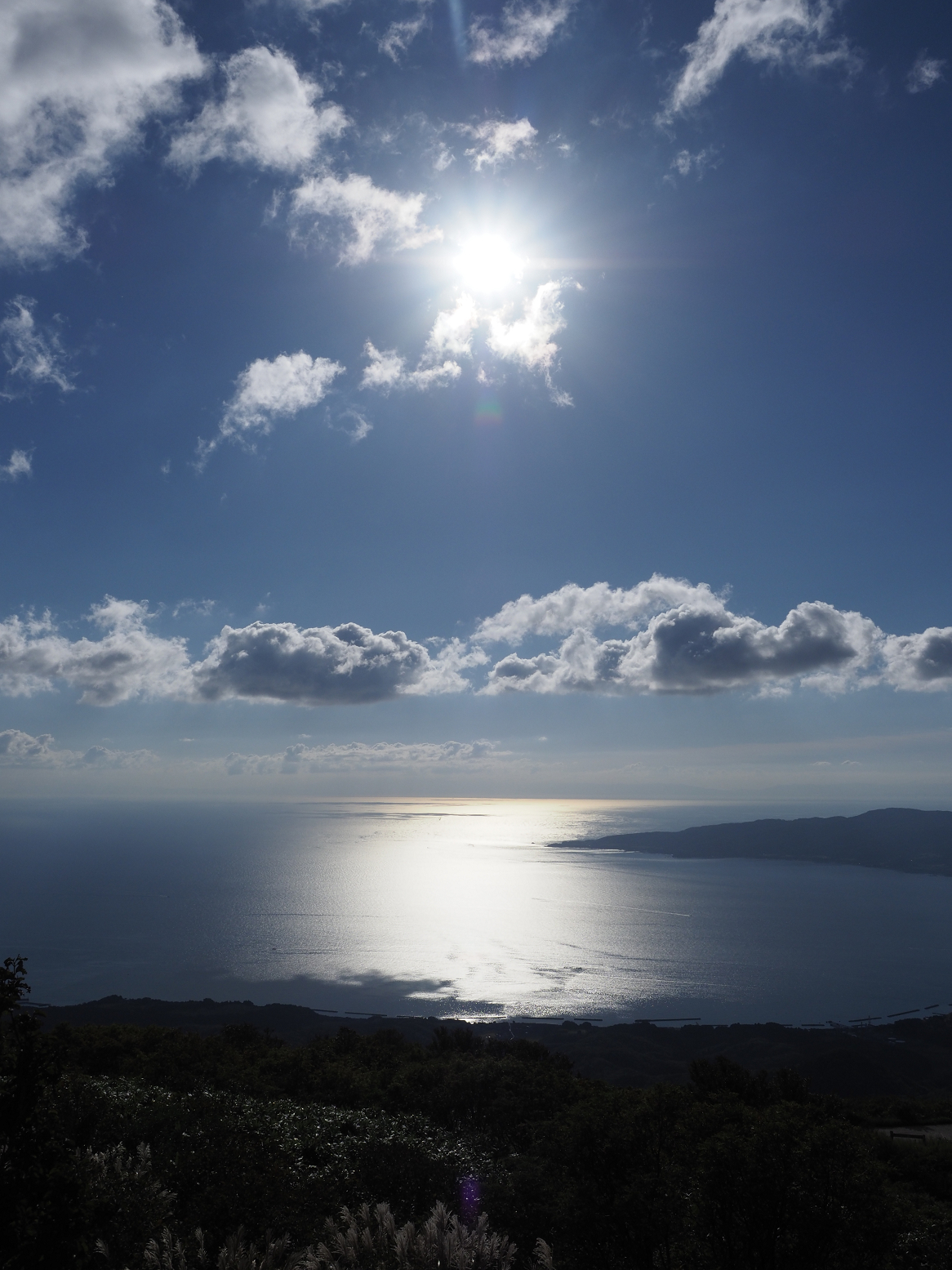 P9191433.jpg