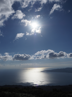 P9191434_thumb.png