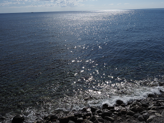 P9191441_thumb.png