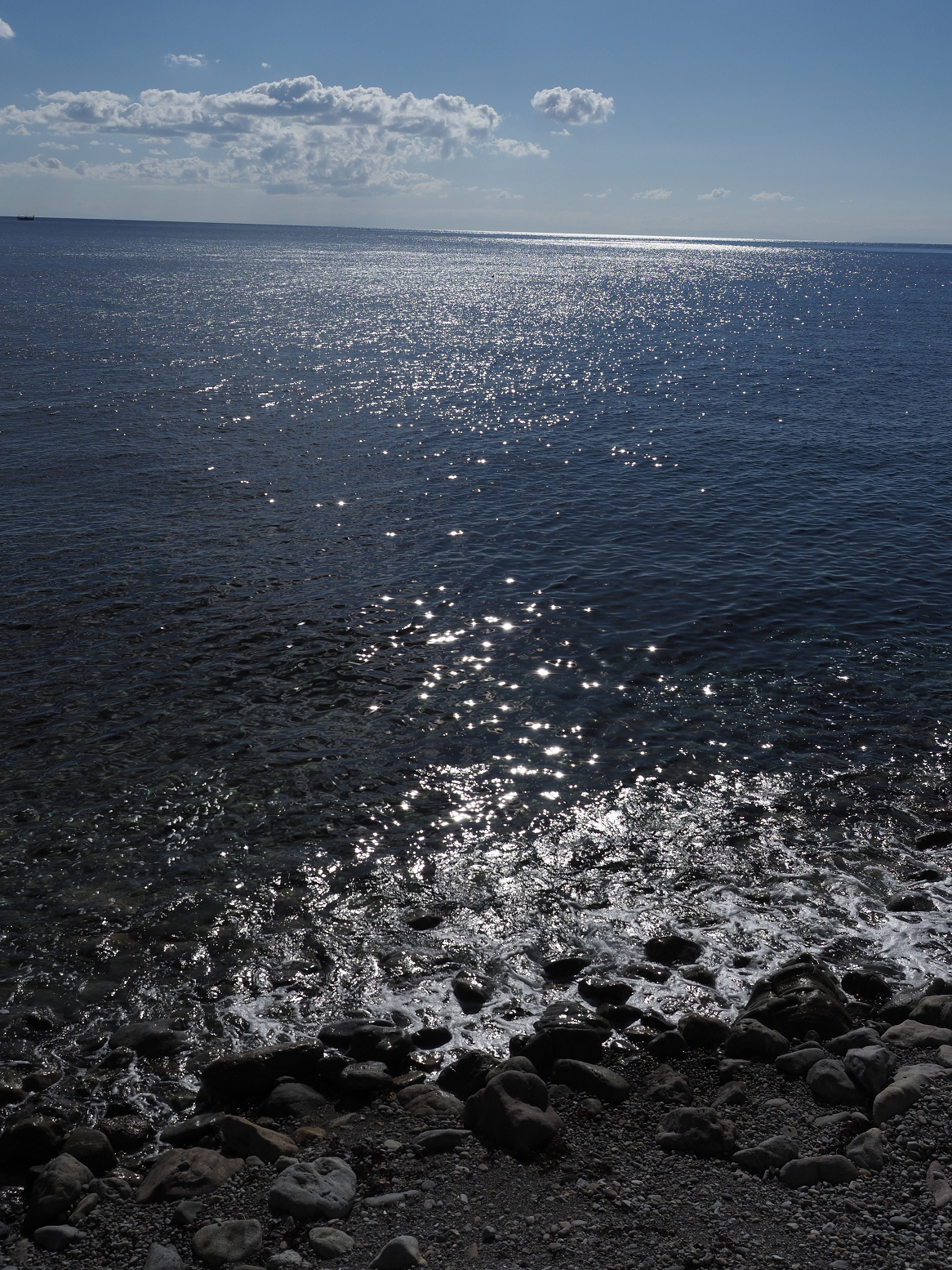 P9191442.jpg