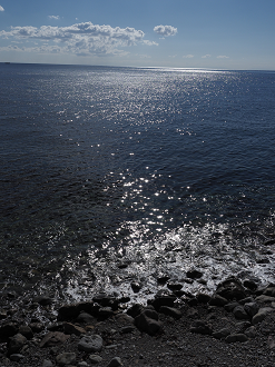 P9191442_thumb.png