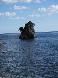 P9191447_thumb.png