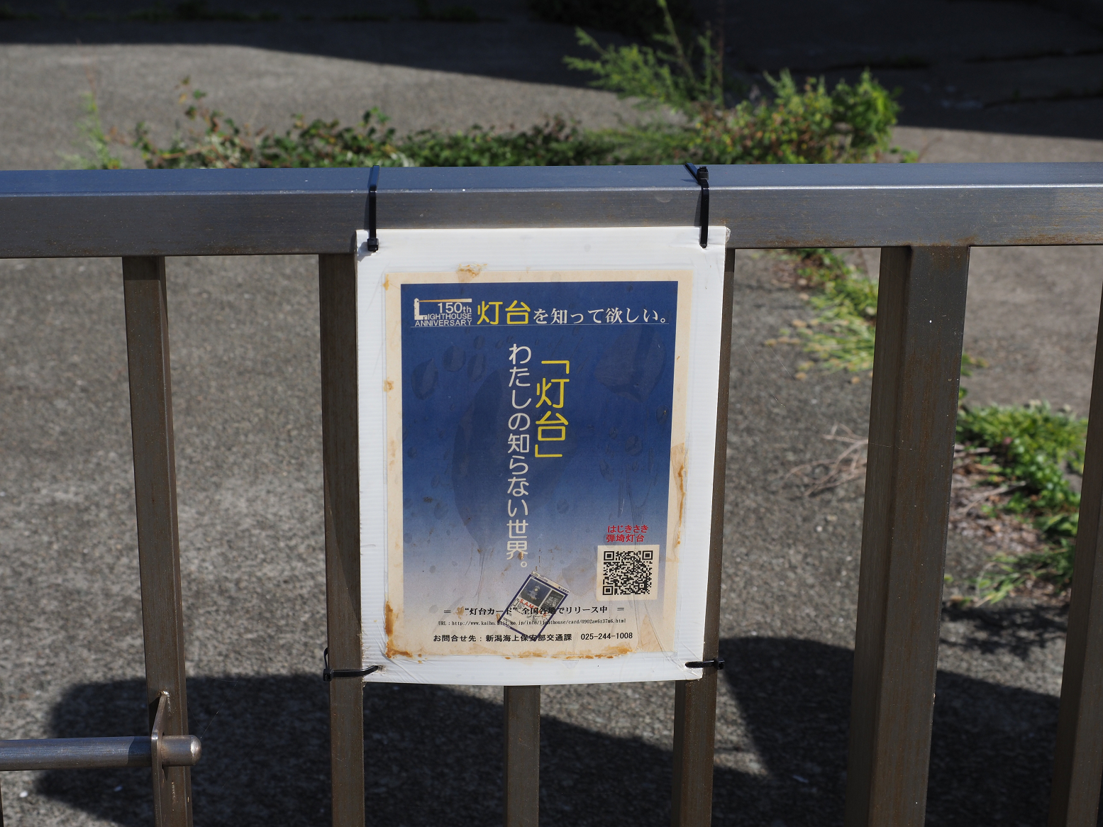 P9191454.jpg