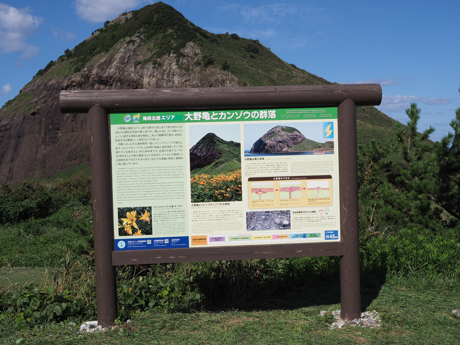 P9191469.jpg