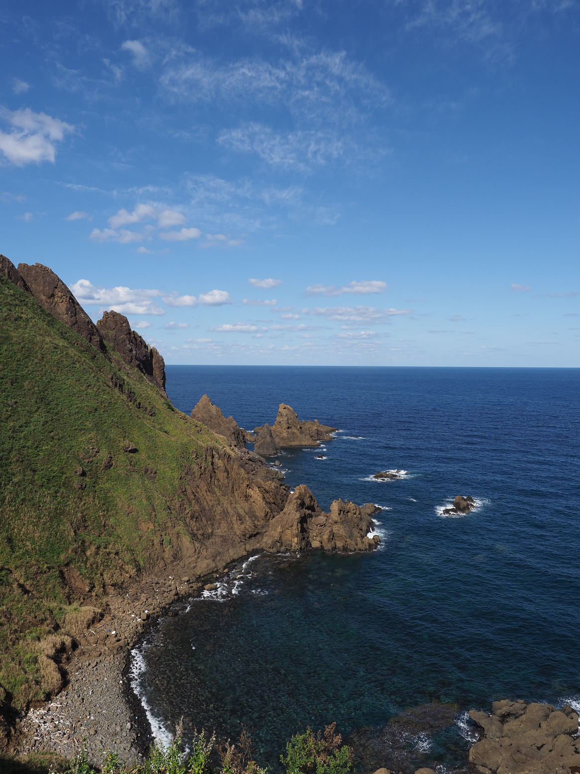 P9191491.jpg
