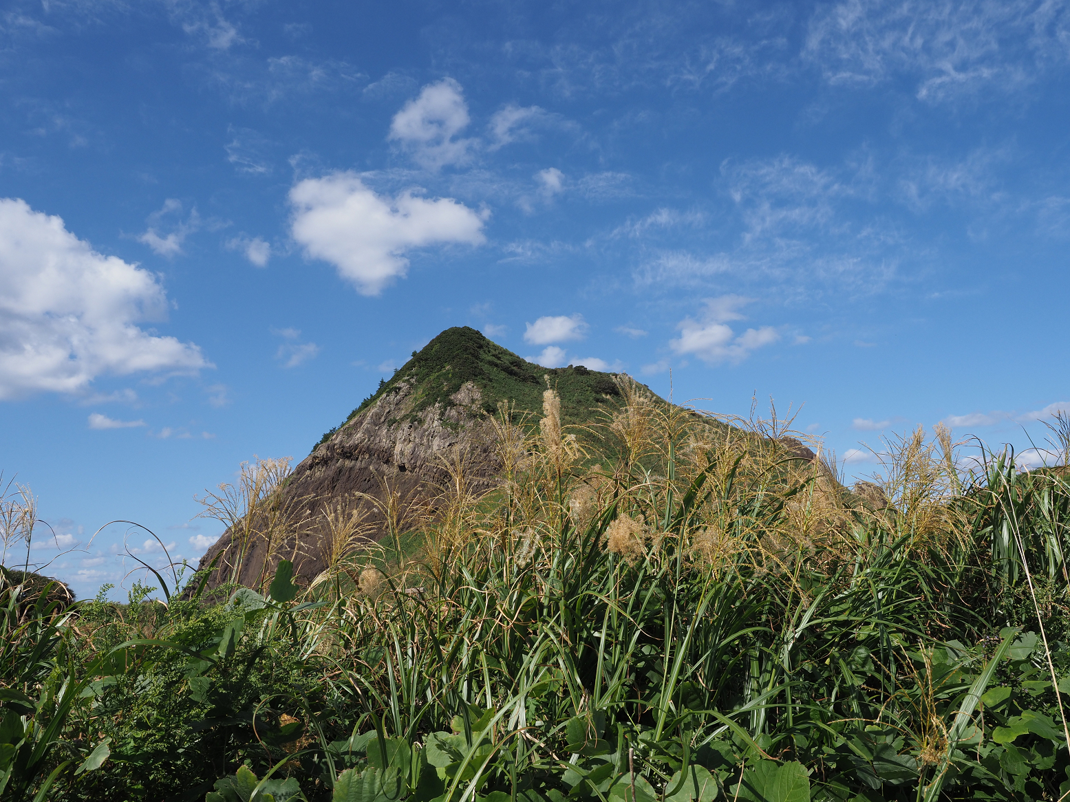 P9191506.jpg