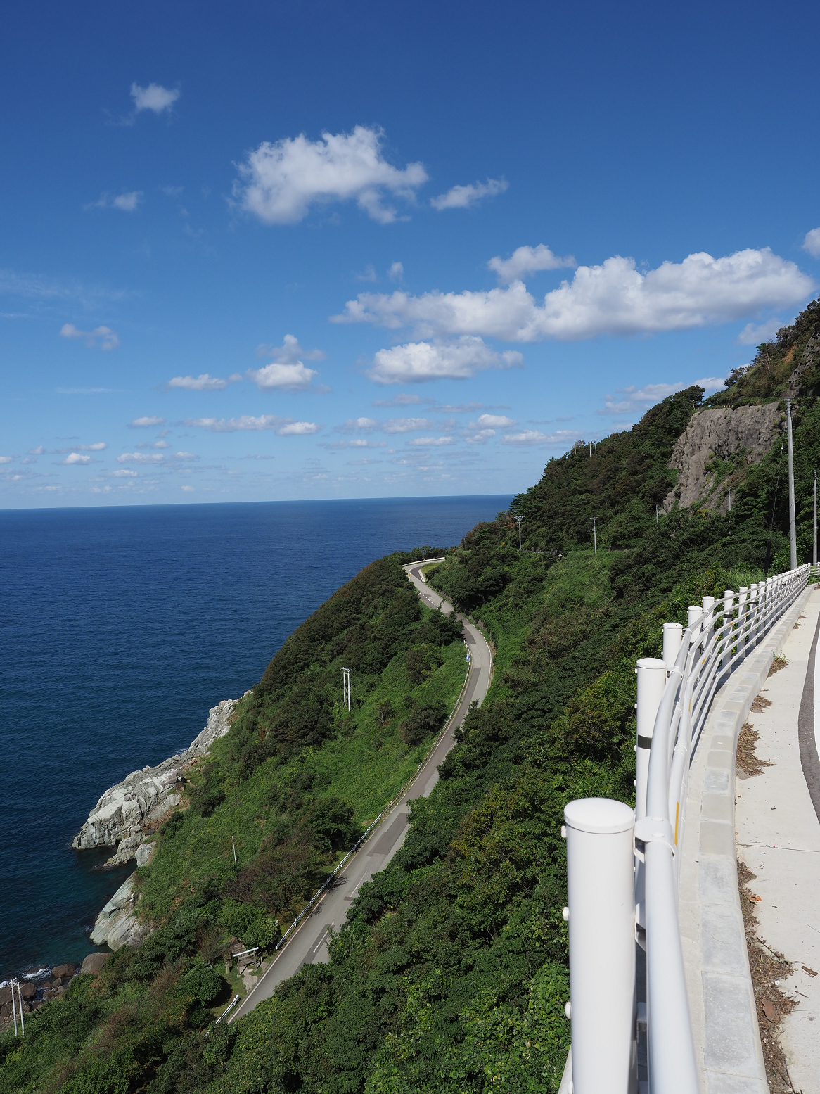 P9191545.jpg