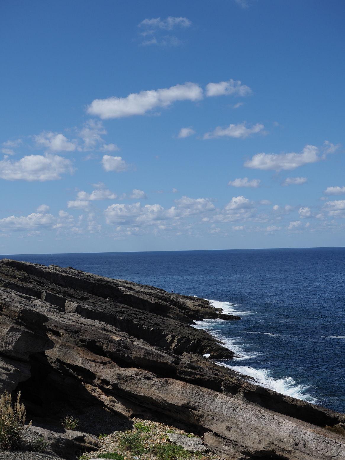 P9191565.jpg