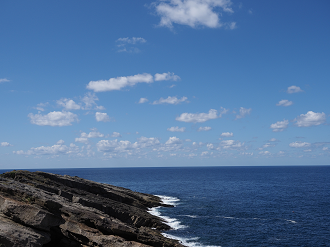 P9191567_thumb.png