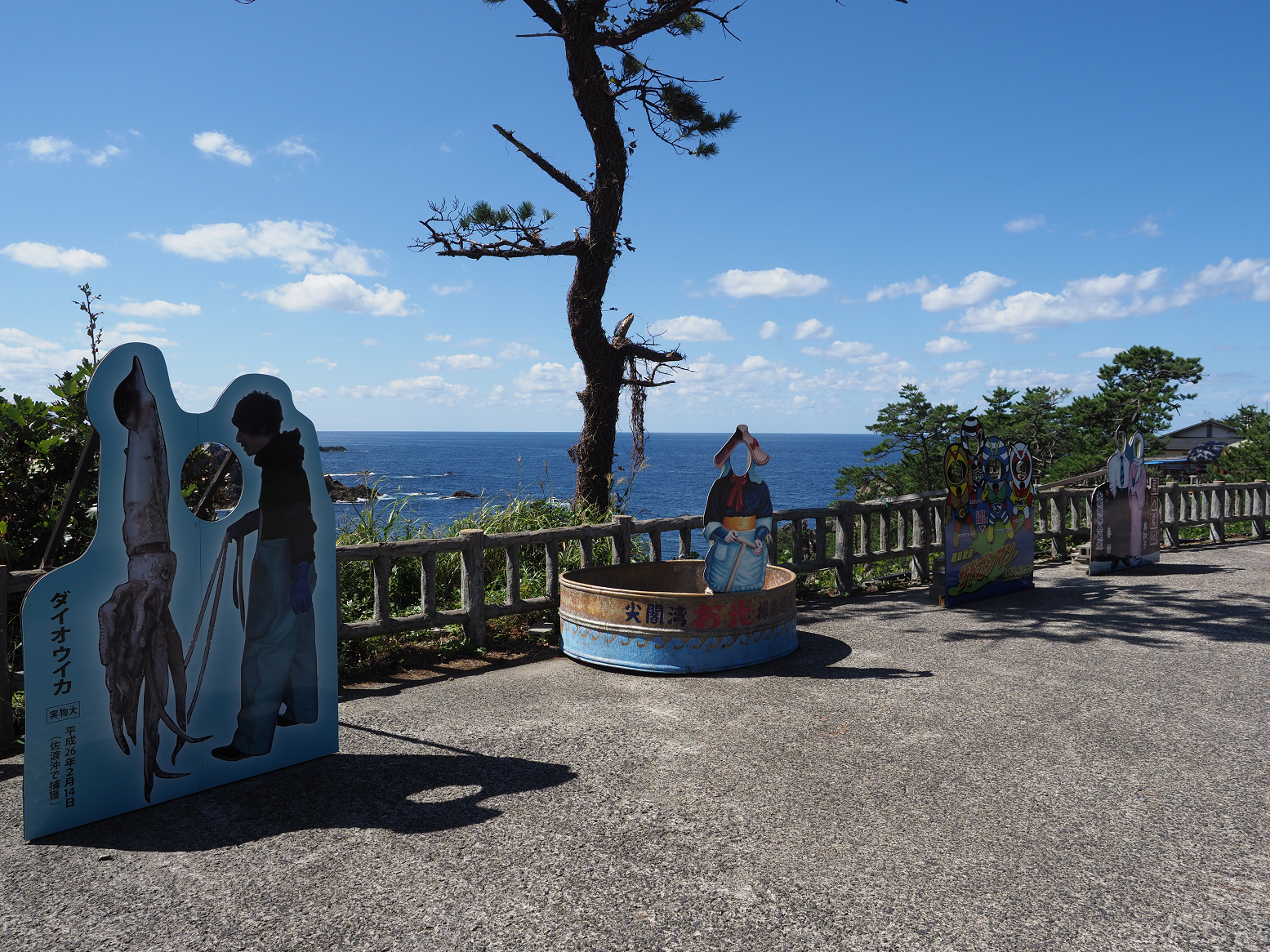 P9191569.jpg