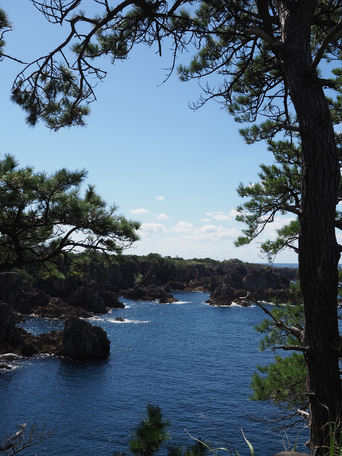 P9191580.jpg