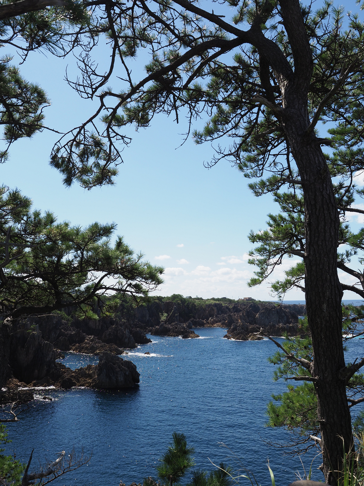 P9191581.jpg