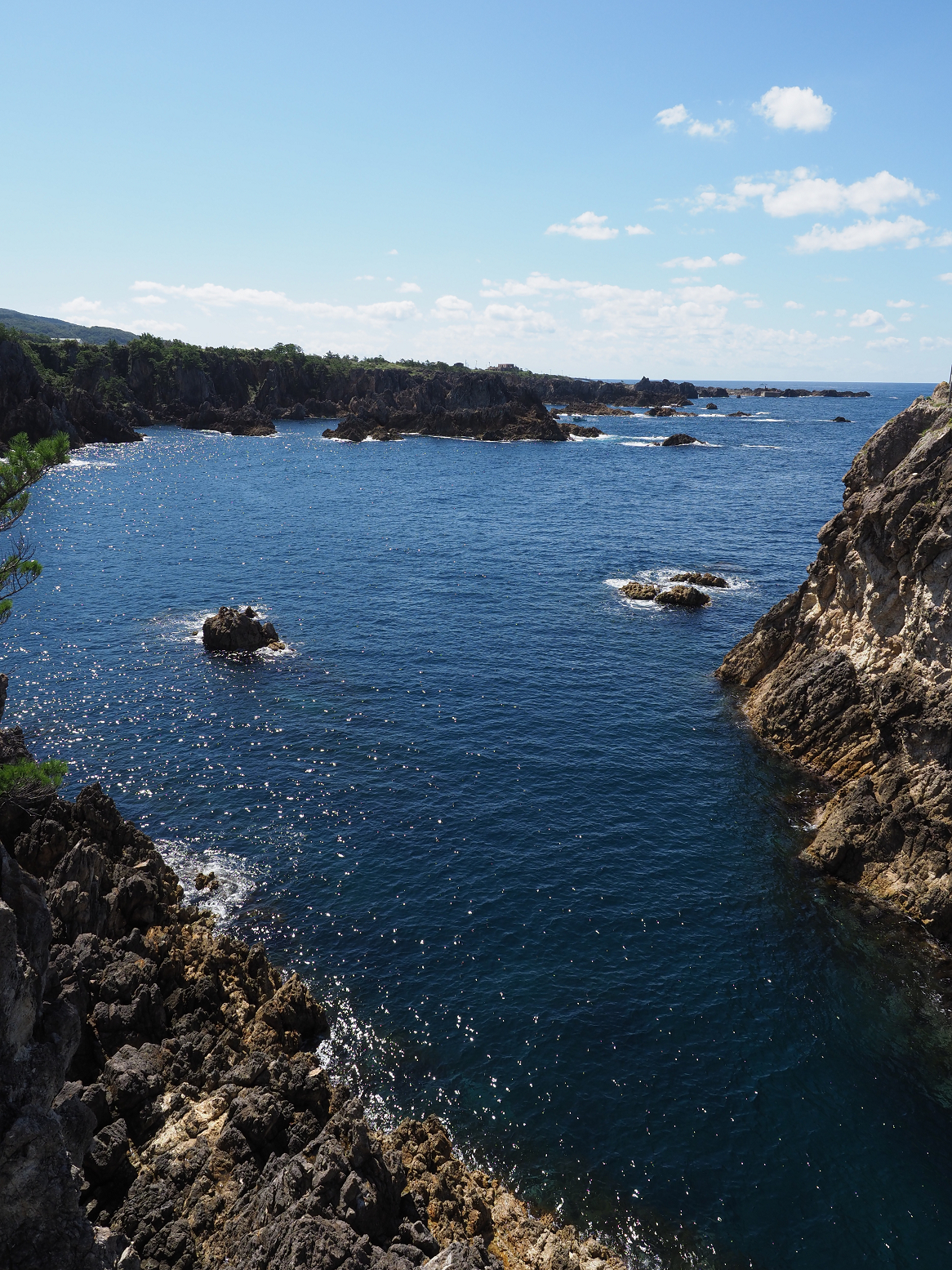 P9191586.jpg